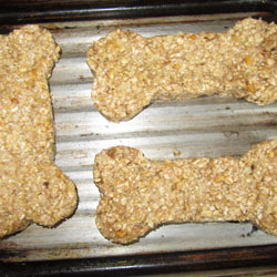 Biscuits in the tray Biscuits in the tray